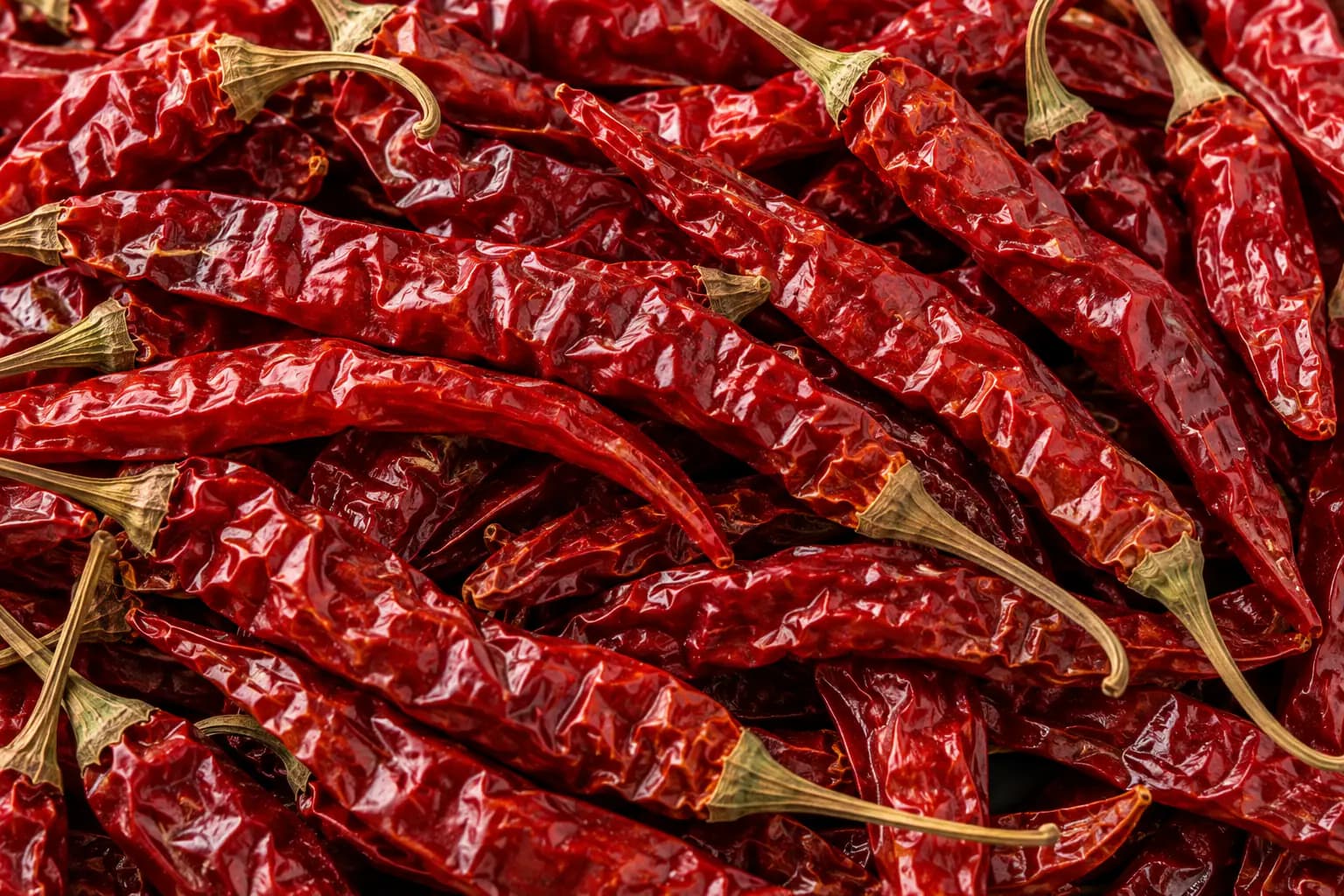 Close-up of long dried red chillies