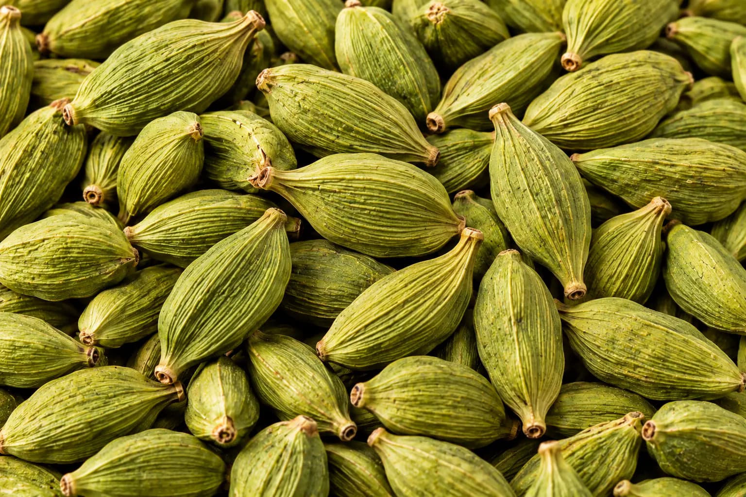 Close-up of plump green cardamom pods