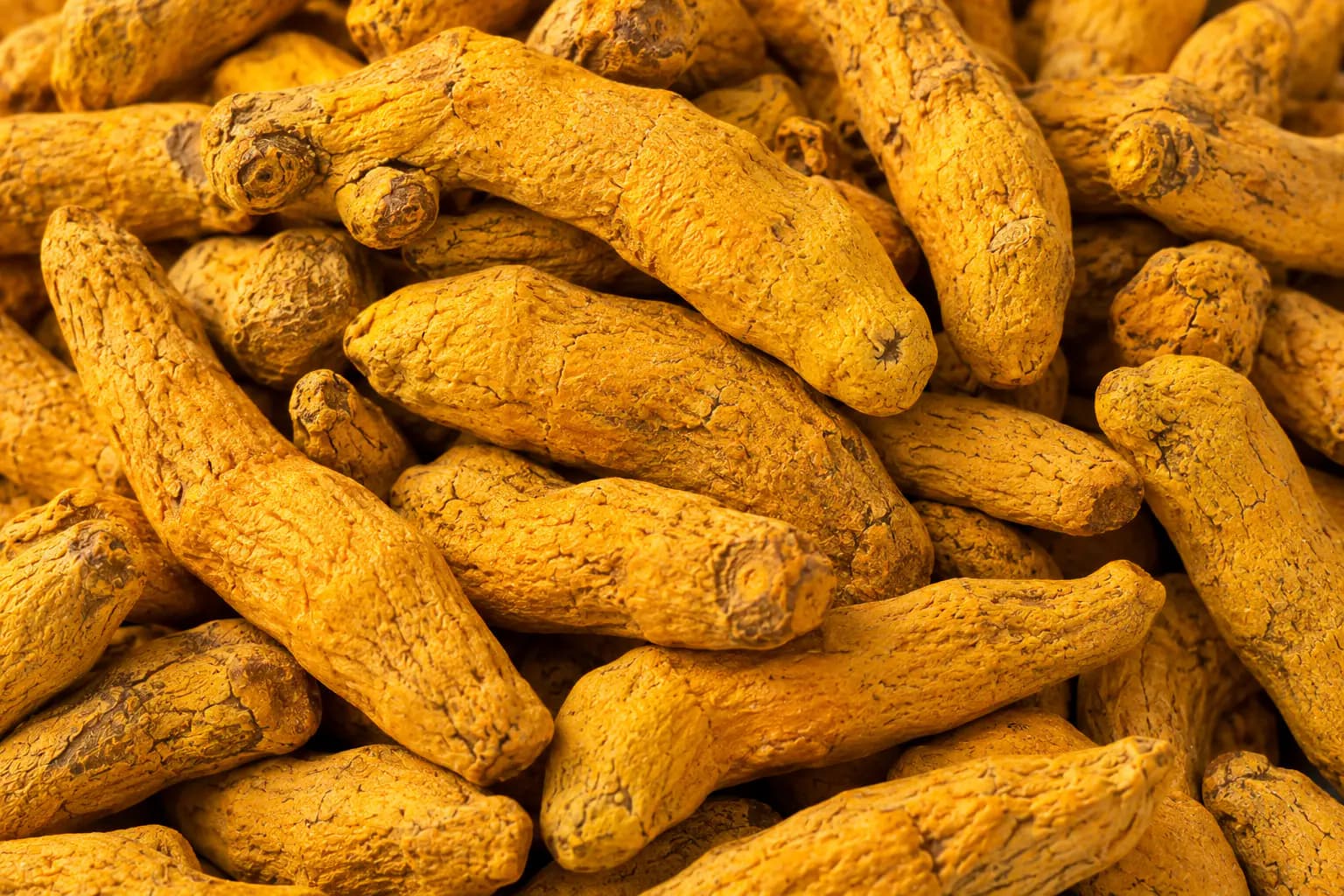Close-up of whole dried turmeric fingers